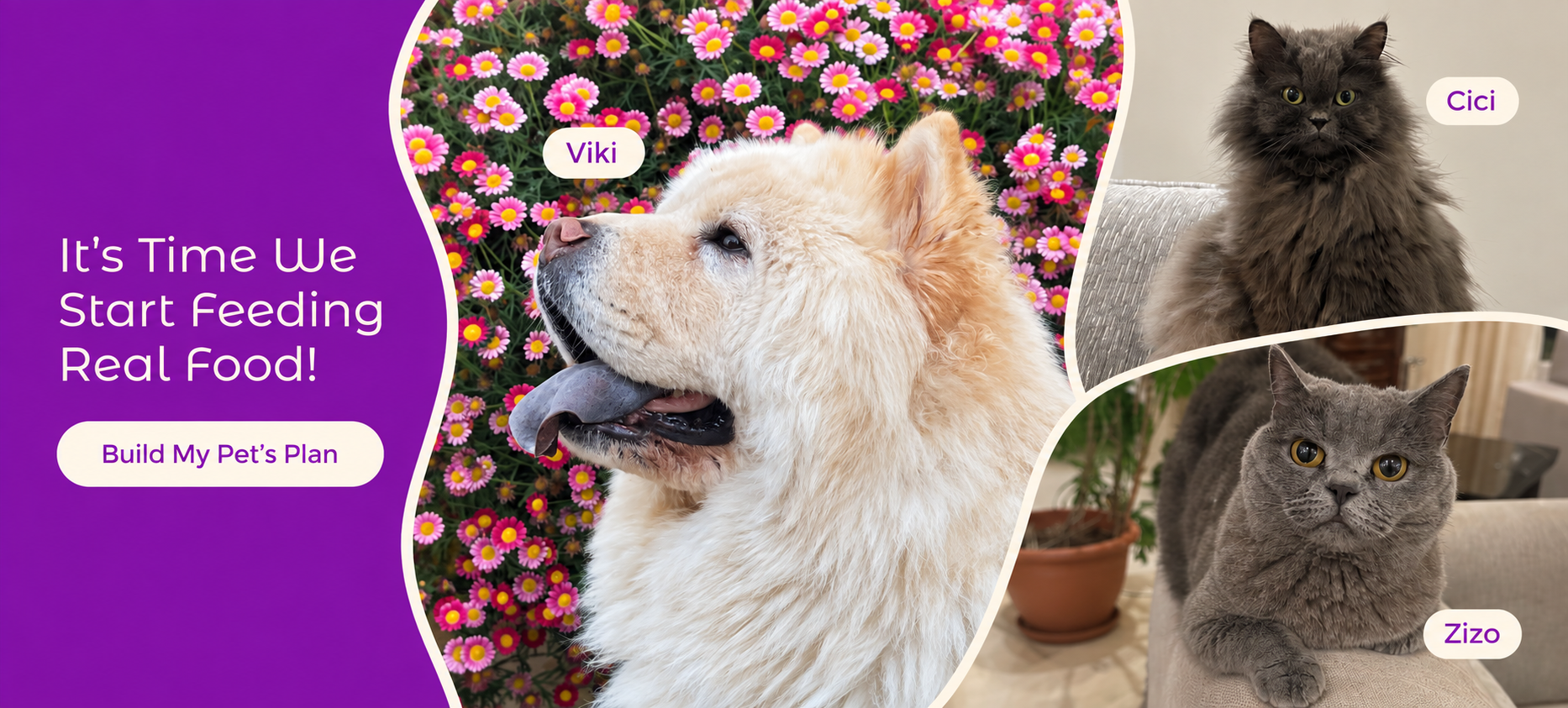 Viki among pink flowers, with Cici above Zizo in the adjoining portraits.