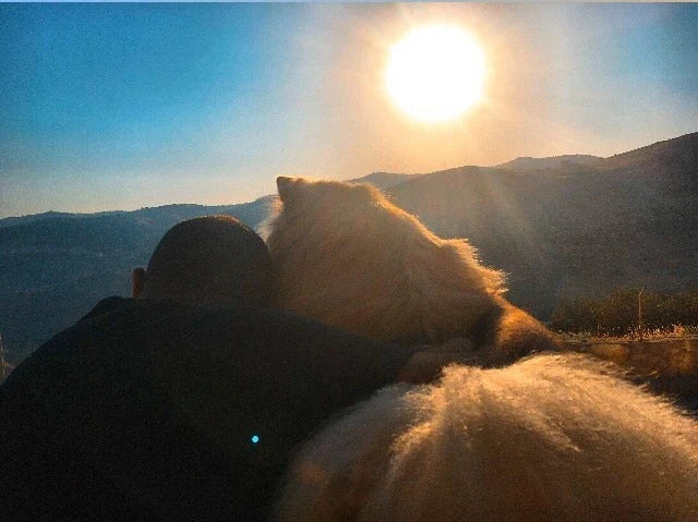 Viki and Kareem together outdoors at sunset