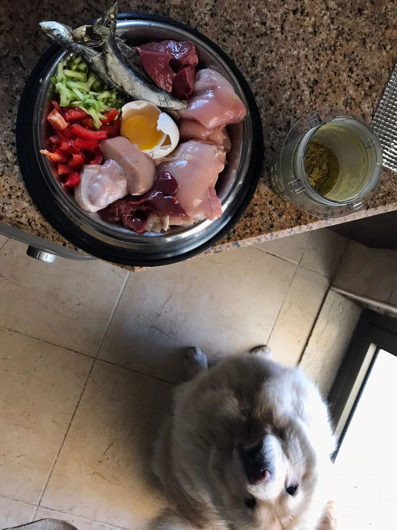 Viki beside a bowl of real food