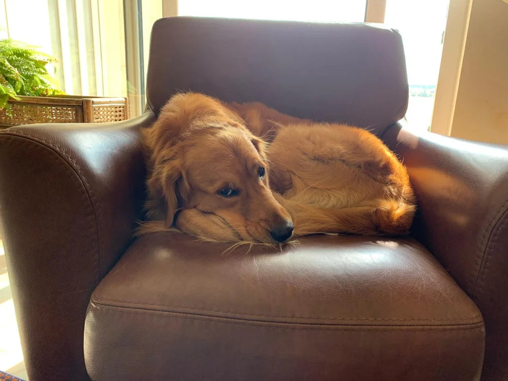 Axle