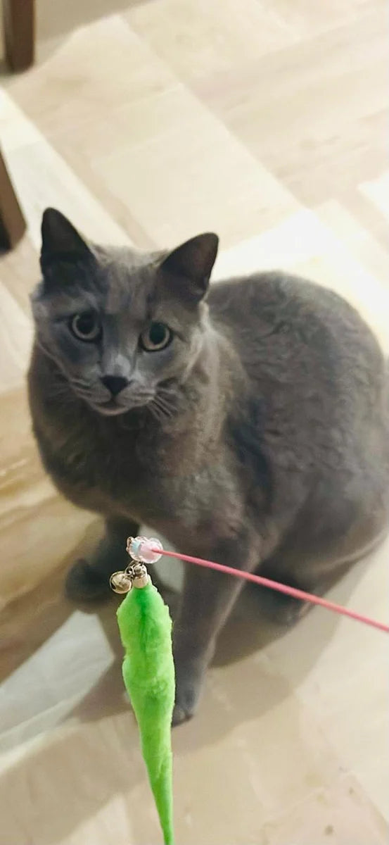 Koko