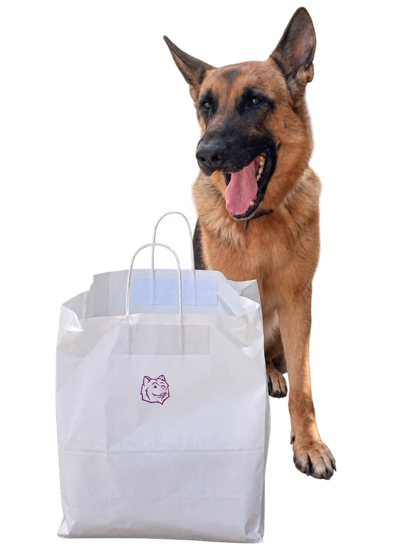 Mana, a German Shepherd, beside Viki’s Pet Food delivery bags